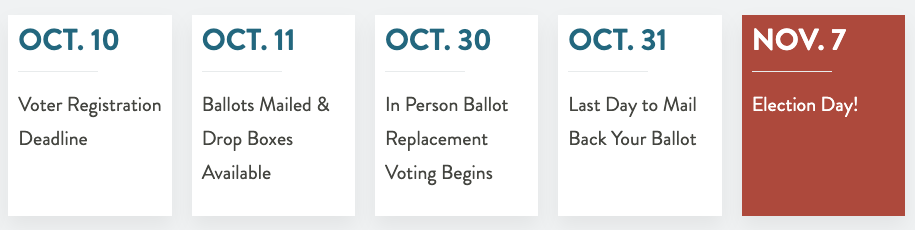 Voter Election Timeline
